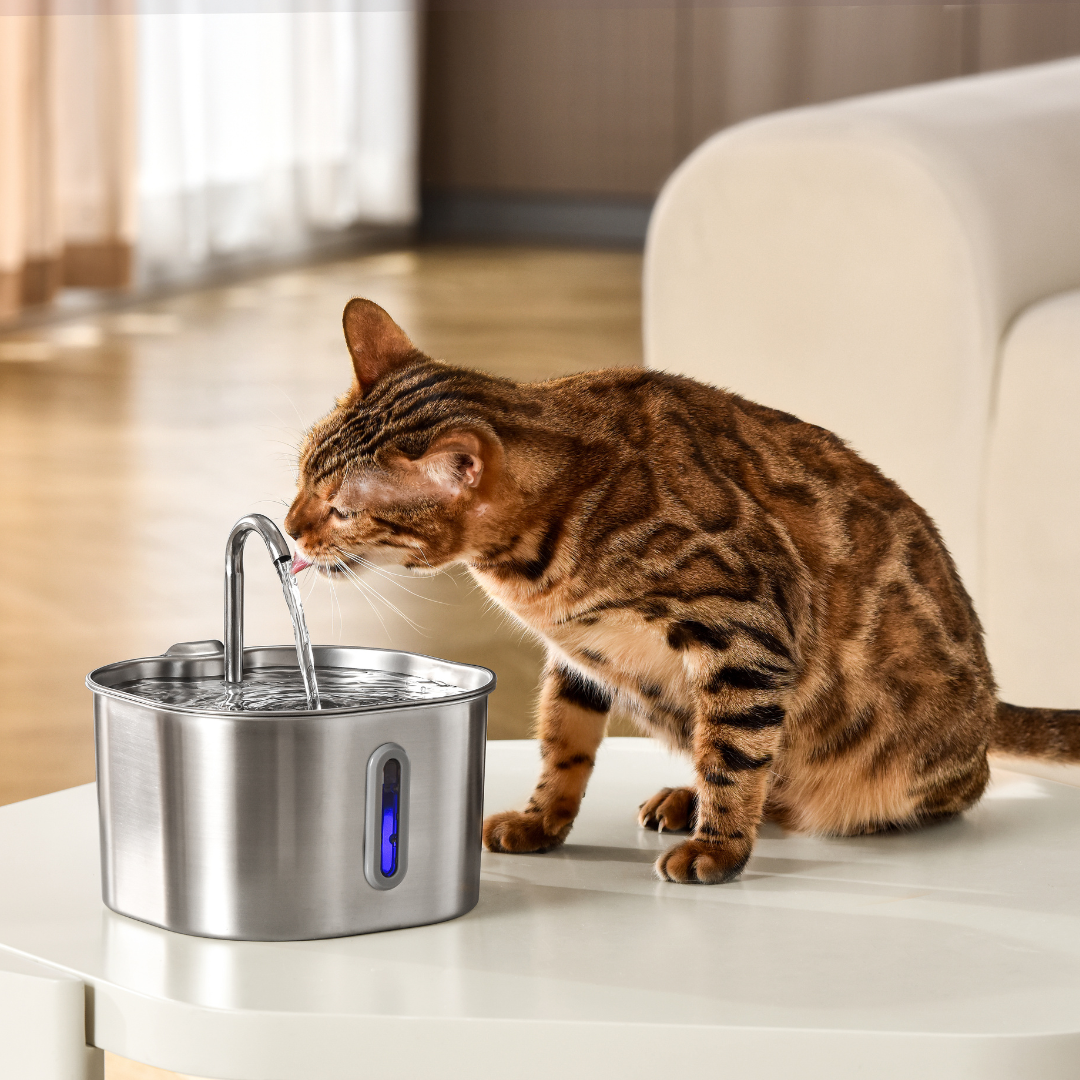 The KittySpout™ 2.2L Fountain